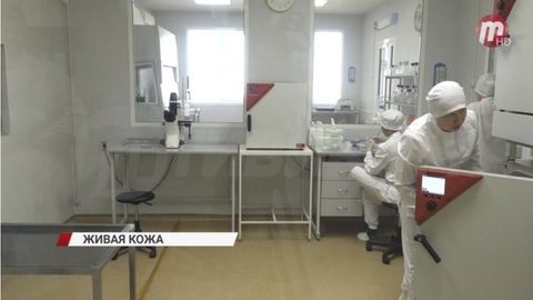 Аналог живой кожи от бурятской компании выходит на мировой рынок